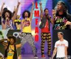 Gli LMFAO sono un duo musicale electro-hop