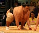 Lottatore di sumo pronto per il combattimento