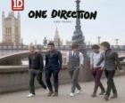 One Thing, One Direction