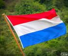 La bandiera dei Paesi Bassi è diviso in tre strisce orizzontali dello stesso spessore. I colori della bandiera sono rosso, bianco e blu