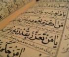 Il Corano è il libro sacro dell'Islam, contiene la parola di Allah ha rivelato al Suo Profeta Maometto