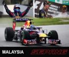 Sebastian Vettel festeggia la vittoria nel Gran Premio della Malesia 2013