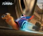 Turbo, la lumaca più veloce del mondo