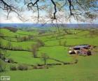 Campagna del Devon, Gran Bretagna