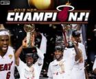 Miami Heat Campione NBA 2013