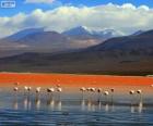 La Laguna Colorada, Bolivia