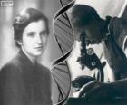 Rosalind Franklin (1920-1958), pioniere nella ricerca del DNA