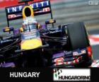 Sebastian Vettel - Red Bull - Gran Premio d'Ungheria 2013, 3 ° classificato