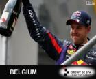 Sebastian Vettel festeggia la vittoria nel Grande Prémio do Belgio 2013