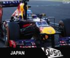 Sebastian Vettel festeggia la vittoria nel Gran Premio del Giappone 2013