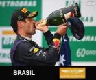 Mark Webber - Red Bull - Grand Prix del Brasile 2013, 2º classificato