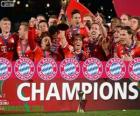 Bayern Monaco, Campione Copa del Mondo per club 2013