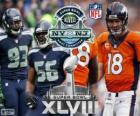 Super Bowl 2014. Seattle Seahawks vs Denver Broncos. MetLife Stadium, nel New Jersey, 2 febbraio 2014