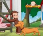 La scimmia George e Hundley cane salsiccia