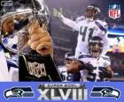 Seattle Seahawks, Campioni Super Bowl 2014