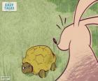 La tartaruga sfidò la lepre ad una gara