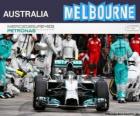 Nico Rosberg celebra la sua vittoria nel Gran Premio di Australia 2014