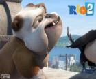 Luiz nel film Rio 2