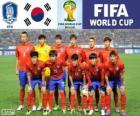 Selezione della Corea del Sud, gruppo H, Brasile 2014