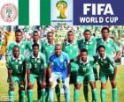 Selezione della Nigeria, Gruppo F, Brasile 2014