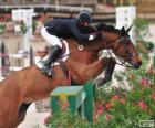 Cavallo e cavaliere superando un ostacolo a un concorso di salto