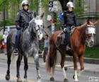 Agenti di polizia a cavallo