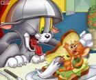 Tom e Jerry in un altro dei loro conflitti