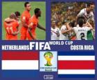 Olanda - Costa Rica, quarti di finale, Brasile 2014
