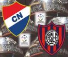 Club Nacional del Paraguay vs San Lorenzo de Almagro dell'Argentina. Finale di Copa Libertadores 2014