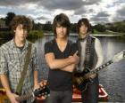 I fratelli Grey, Camp Rock