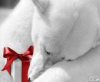 Orso polare con un regalo