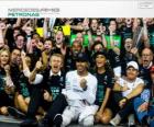 Lewis Hamilton, campione del mondo di F1 2014 con Mercedes