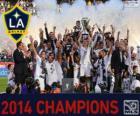 Los Angeles Galaxy, campione MLS 2014