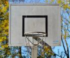 Canestro basket