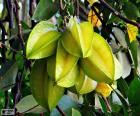 Carambola, frutta esotica