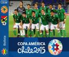 Selezione della Bolivia, Gruppo A della Coppa America Cile 2015