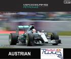 Lewis Hamilton, Mercedes, Gran Premio d'Austria 2015, secondo posto