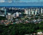 Manaus è la capitale dello stato di Amazonas, Brasile. Si trova nel centro della foresta pluviale più grande del mondo