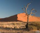 Deserto del Namib, Namibia