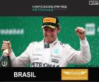 Nico Rosberg festeggia la sua vittoria a Gran Premio del Brasile 2015