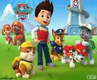 Ryder e sei cuccioli sono i membri della Paw Patrol, La squadra dei cuccioli