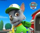 Rocky ha risorse pratiche per tutti. È un entusiasta sostenitore di riciclaggio e ha mille idee e strumenti nello zaino. Paw Patrol