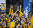 Tigres UANL, Messico 2015