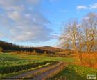 Paesaggio de campo