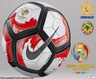 Nike Ordem Ciento il pallone ufficiale della Copa América Centenario, Stati Uniti 2016
