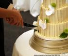 Sposa e sposo taglio della torta