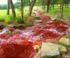 Paesaggio con un fiume rosso