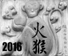2016 anno cinese scimmia fuoco