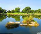 Riflessione sul lago