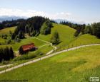 Verdi prati di montagna con rilievi, strade e una fattoria